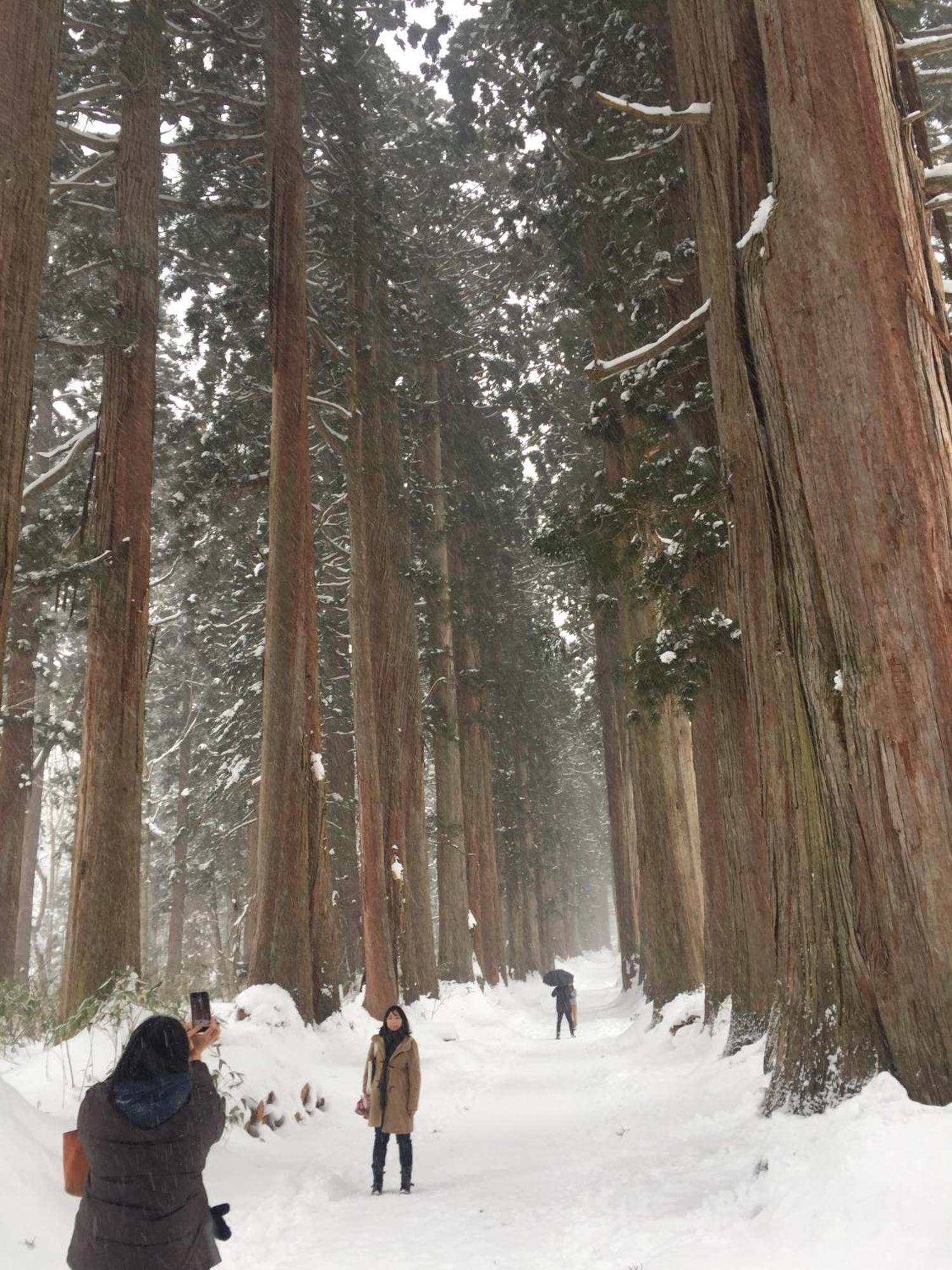 Nojiri Lake Resort Shinano  Eksteriør billede